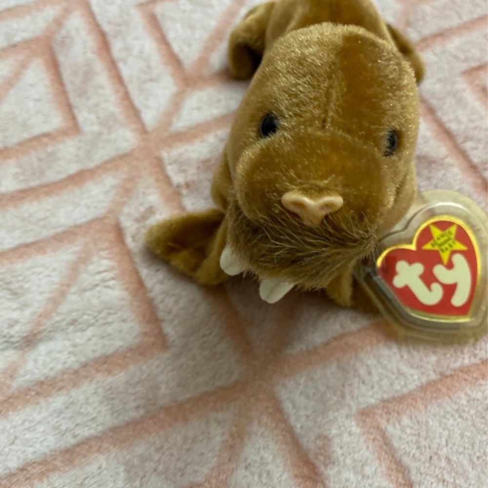 Ty Beanie Babies Paul The Walrus